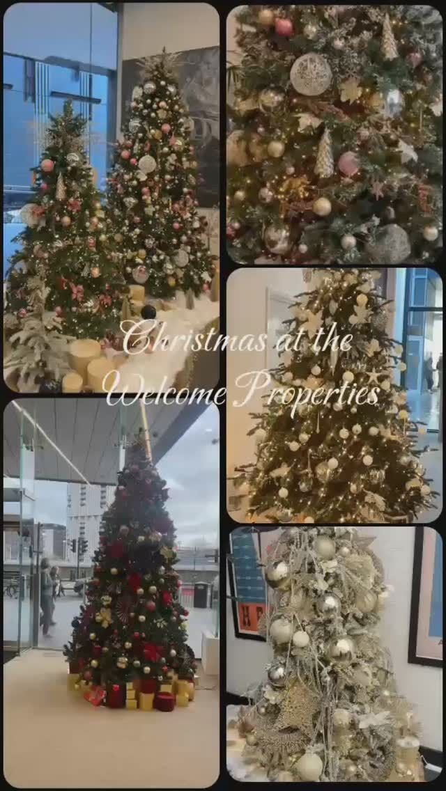 Spreading Holiday Cheer!

This season, we embraced the festive spirit with a series of events that brought joy, creativity, and connection to our team and community. From warm drinks to hands-on activities, it was a celebration to remember!

🎥 Highlights of our festive activities: 🍷 Sipping on mulled wine to toast the season 🌿 Crafting beautiful holiday wreaths together 🍫 Indulging in a decadent chocolate fountain ☕ Enjoying cozy hot chocolates on chilly days 🎶 Singing carols and sharing the holiday spirit

At #Welcomeoffices, we value not just what we do but the people we share it with. These moments reflect the strong sense of community and collaboration that drives us forward.
As we wrap up the year, we’re grateful for our incredible team and the opportunity to celebrate together. Here’s to a bright and successful new year ahead! 🌟